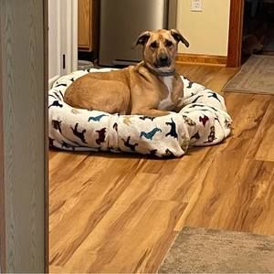 Meet your Posher, Lori